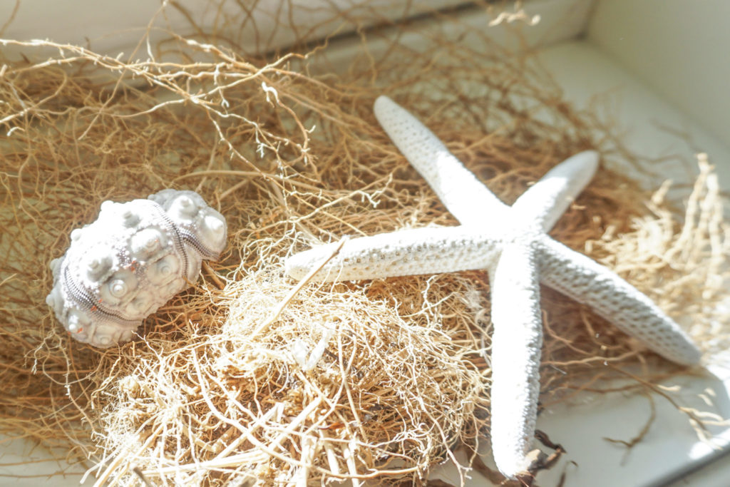 Beadboards im Badezimmer *anzeige* - Deko-Hus
