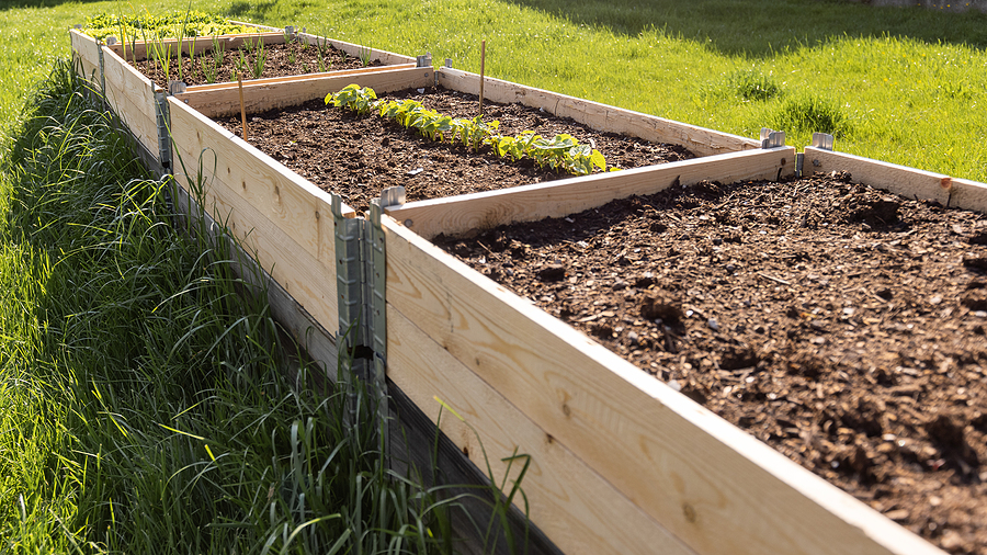 Hochbeet aus Paletten bauen